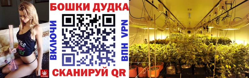 Где найти наркотики Чистополь Марихуана Кокаин ГЕРОИН Меф мяу мяу Гашиш Alpha-PVP