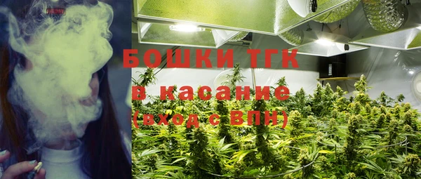 ГАЛЛЮЦИНОГЕННЫЕ ГРИБЫ Алзамай